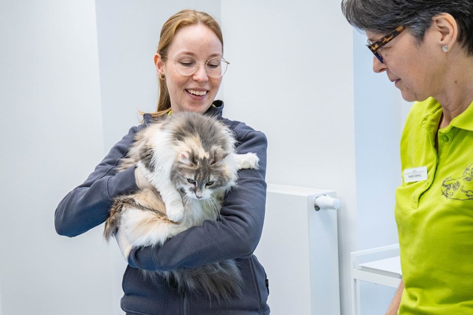 Katze auf dem Arm einer Mitarbeiterin