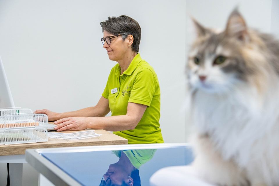Tierärztin am Computer, Katze im Vordergrund
