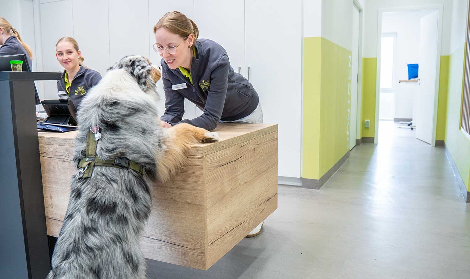 Mitarbeiterin spielt mit Hund am Empfang