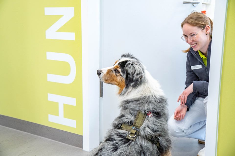 Tierärztliche Fachangestellte mit Hund